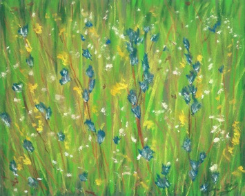 Blue Flower Meadow 2017